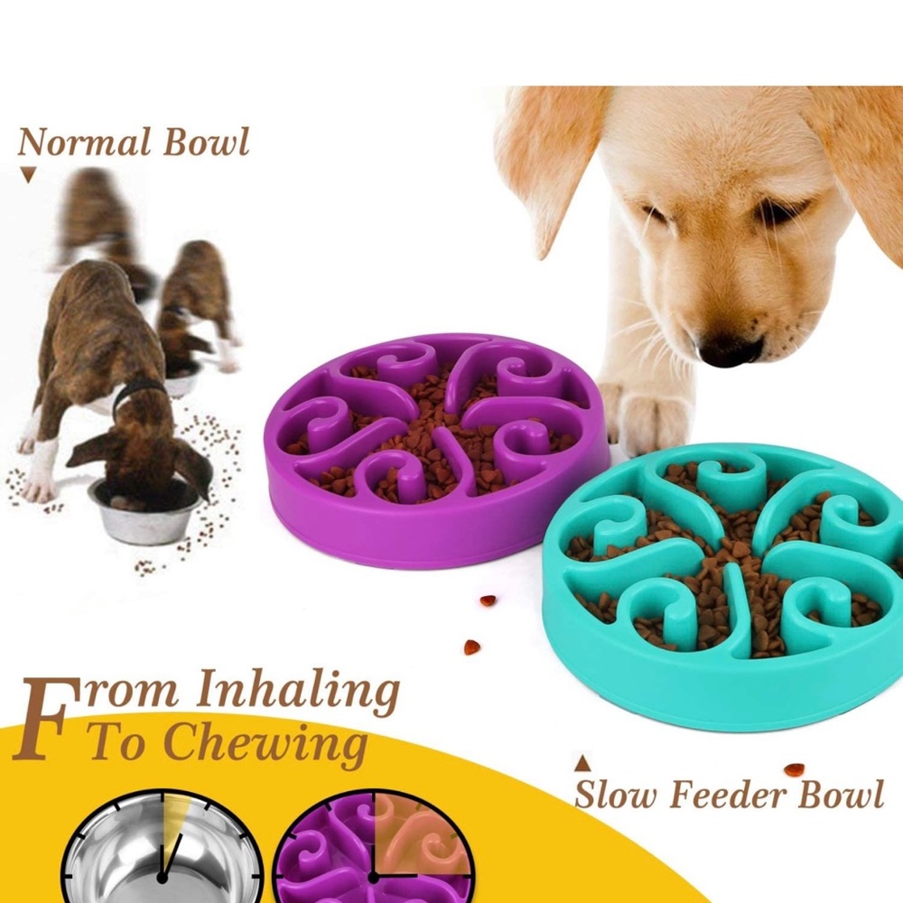 Pet Fun Feeder Dog Bowl Slow Feeder
